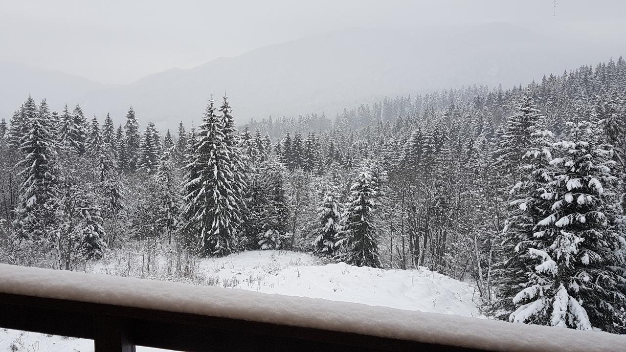 Vanilla Residence 普雷代亚尔 外观 照片